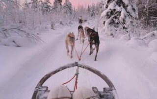 La vallée d&rsquo;Amarok © Céline Gounon