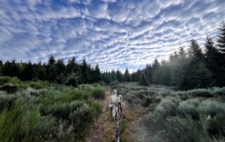 Artik Basterds : Baptême d’attelage © @artikbasterds