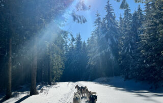 Artik Basterds : Baptême d’attelage © @artikbasterds