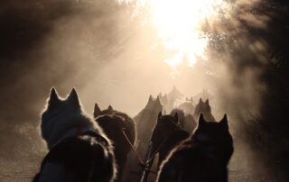 Artik Basterds : Baptême d’attelage © @artikbasterds