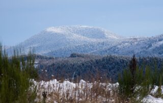 Balade géologique : Suc de Bauzon_Usclades-et-Rieutord