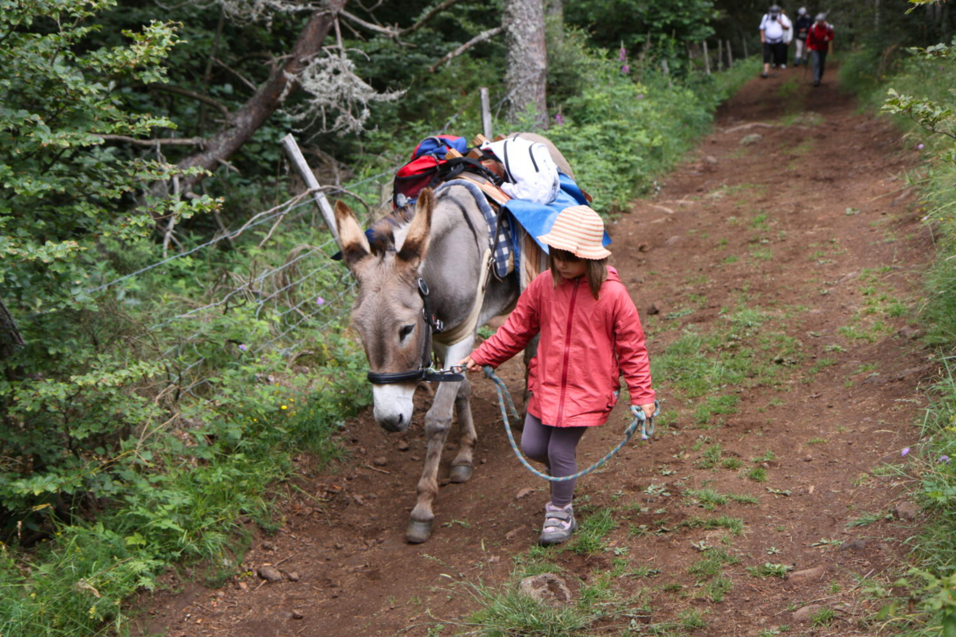 randonneuse dans la forêt au départ de Burzet avec MCR Randonnées
