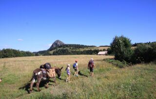 Rando tour guidé des volcans des Monts d’Ardèche avec un âne_Burzet © O.Mathis