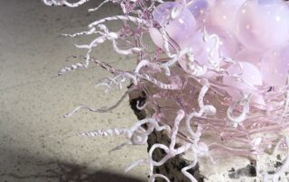 Nid de licornes de Julie Legrand © Paul Louis