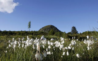 Escapade art, nature et sensations au pays des sucs volcaniques_La Rochette © Massif central randonnées