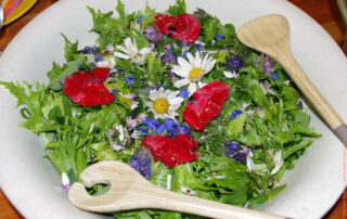 Déguster l&rsquo;Ardèche et ses plantes sauvages de montagne_La Rochette © Massif central randonnées