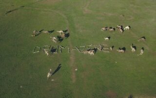 Dromazère : Parc animalier_Auroux © Dromazère