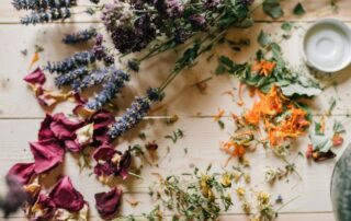 La dictée Pétales de montagne_Sainte-Eulalie © Canva