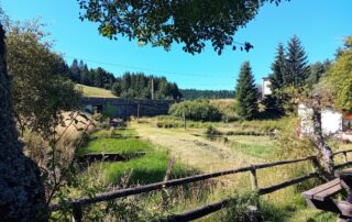 Lac de pêche à la truite – Pisciculture des Sources de la Prade – Chaffour © Pisciculture Chaffour