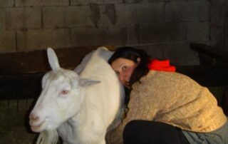 Ferme Fanny Montoya_Mazan-l&rsquo;Abbaye © Ferme Fanny Montoya