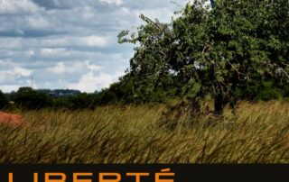 Lectures théâtralisées et lecture – Printemps des Poètes thème la liberté