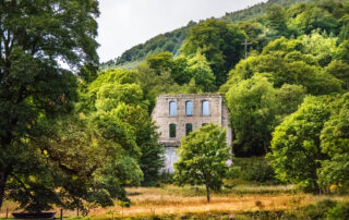 chartreuse de Bonnefoy © OTMA_I.Bouit