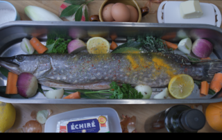 Extrait du film Ici commence la mer