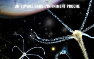 Affiche du film Odyssée mare