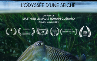 Affiche du film Sépia, l&rsquo;odyssée d&rsquo;une seiche