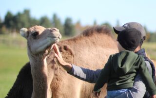 Dromazère © Line Delmas
