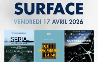 Séance Sous la surface – Festival du Film Nature_Saint-Gervais-les-Bains © Kévin Moisseron