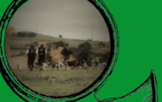 Démonstration chiens courants_Cros-de-Géorand © ACCA Cros de Georand