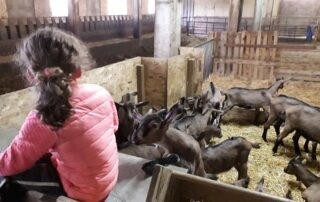 De Ferme en ferme : Visite de la Ferme de la Louvèche