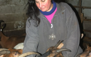 Ferme Fanny Montoya_Mazan-l&rsquo;Abbaye © Ferme Fanny Montoya