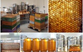 Apiculture – Les Ruchers du Moulin – Léa et Rémy Delenne_Saint-Laurent-les-Bains – Laval d&rsquo;Aurelle © Les Ruchers du Moulin