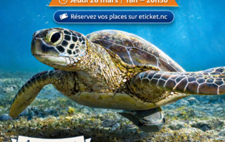 L&rsquo;Odyssée des Tortues_Nouméa