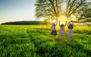 paysage © Créé sur Canva par Céline Gaillard –  2026