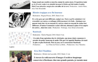 La fête du court métrage : projections et ateliers créatifs_Saint-Cirgues-en-Montagne © La fête du court métrage