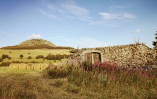 Sortie nature : A la découverte du Suc de la Lauzière et du Suc de Montfol – Rencontres Nature