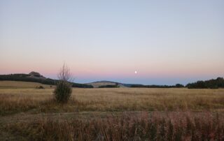 Sortie nature : A la découverte des points sublimes su suc de Liberté