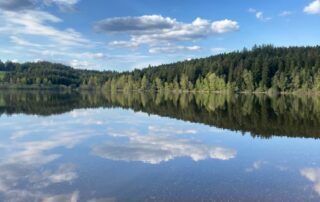 Projection : « Odyssée mare » »_La Chaise-Dieu