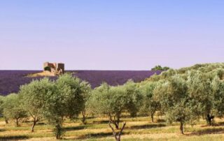 Soirée Théatre : Parfum de Provence_Issarlès © photosimysia