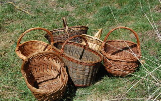 Chasse aux oeufs © Cdj cros de géorand