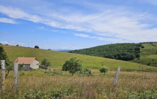 La flore des prairies_Le Béage © PNR Monts d'Ardèche