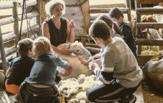 Fête de la Tonte © Ardelaine