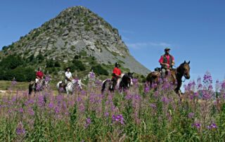 Randonnée à cheval et cours d&rsquo;équitation – L&rsquo;Eperon