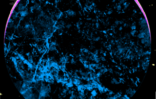 Exposition odyssée contemporaine © FRAC SUD