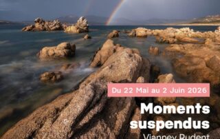 Exposition : Moments Suspendus_La Croix-Valmer © serviceculture