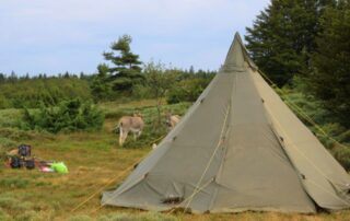 Bivouac et nuit sous les étoiles avec un âne_Burzet © O.mathis