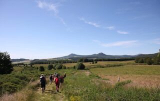 Autour du Mont Gerbier de Jonc avec un âne_Burzet ©  O.Mathis