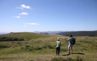 Autour du Mont Gerbier de Jonc avec un âne_Burzet ©  O.Mathis
