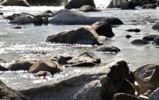 Opération rivière propre_Saint-Étienne-de-Lugdarès © Apìzz