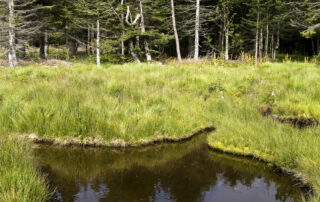 RDV Biotrésors : Jeu de piste sur le Tanargue_Borne © PNR Monts d'Ardèche