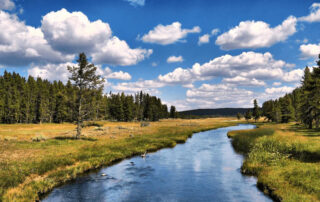 Fête de la nature_Naussac