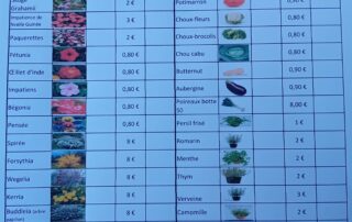 Marché aux fleurs et plants de légumes_Saint-Étienne-de-Lugdarès © APE