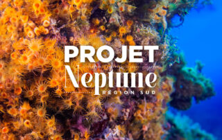 Projet Neptune : une odyssée sous-marine méditerranéenne accessible pour tous_La Londe-les-Maures © CRT_Région_Sud