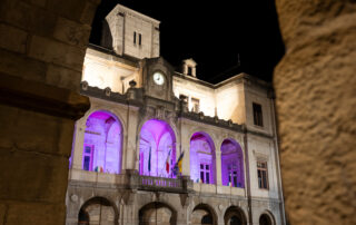 Festival Région des Lumières à l&rsquo;Hôtel de Ville de Vienne_Vienne © Instapades Studio