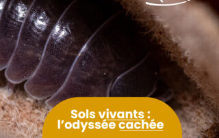 Rendez-vous Nature – Animations et balades gratuites à Clarensac © Nîmes Métropole