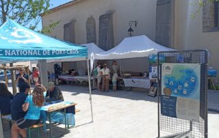 Escale Marine : Ramatuelle et le Parc national de Port Cros fêtent la Méditerranée_Ramatuelle