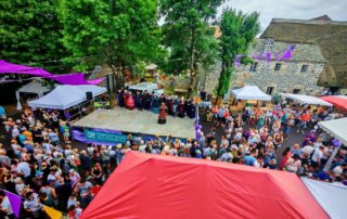 Foire des Violettes
